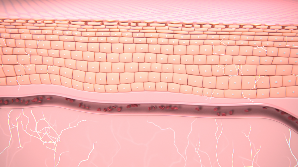 Bioderma Sensibio Ds+ 40 Ml